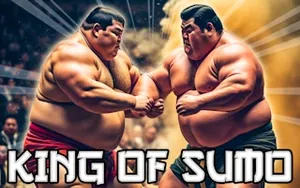King Of Sumo - sports game, play online free, no download